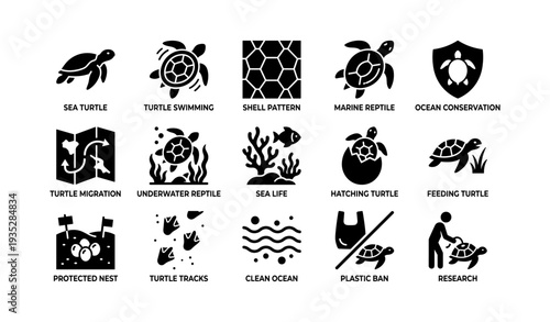 Sea turtle conservation icons highlighting marine life and ocean protection efforts