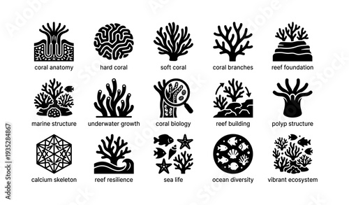 Marine icon set: coral anatomy, reef structure, ocean diversity, sustainability symbols