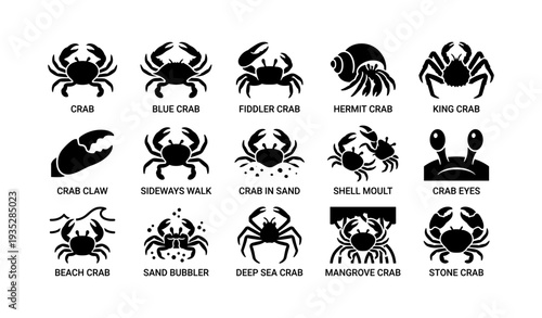 Variety of crabs: silhouettes and features