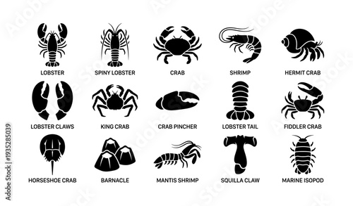 Marine crustaceans: lobster, crab, shrimp, and more icon set