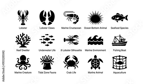 Marine wildlife icons: lobster, claws, crustacean, fishing boat, ocean life