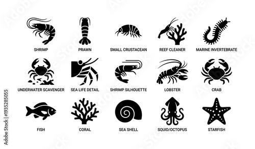 Marine life collection: crustaceans, reef creatures, and sea icons