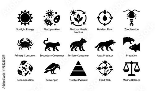 Ecosystem components: energy, phytoplankton, consumers, predators, decomposition