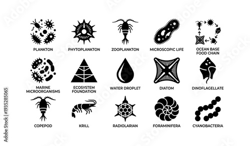 Marine microorganisms icons: plankton, phytoplankton, zooplankton, diatom, dinoflagellate