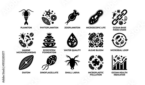 Marine microorganisms and environmental indicators