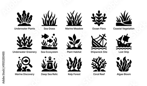Underwater flora collection: sea grass, coral reef, kelp forest, marine ecosystem icons