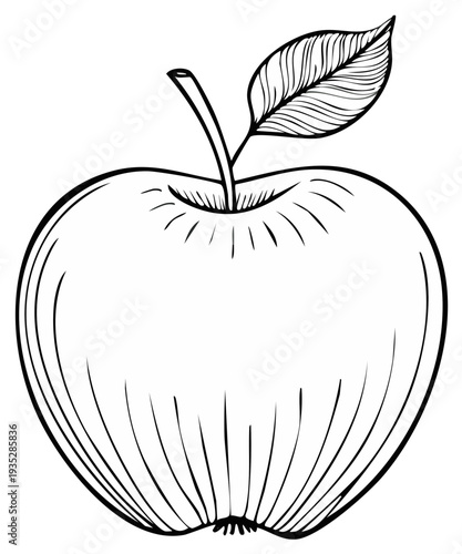 Hand drawn apple with leaf and stem simple black and white sketch for healthy food and harvest concepts