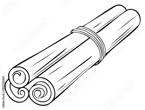 Bundle of Cinnamon Sticks Tied Together Detailed Outline Drawing