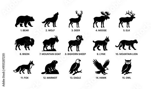 Silhouettes of north american wildlife: bear, wolf, deer, and more