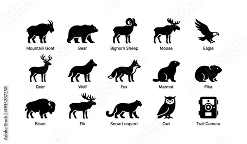 Silhouettes of north american and asian wildlife icons with animal names