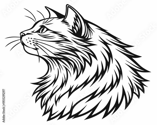 vector illustration of a cat