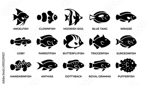 Various fish silhouettes featuring angelfish, clownfish, and more
