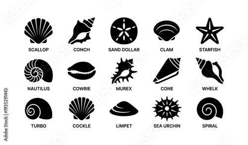 Silhouette icons of seashells and marine creatures