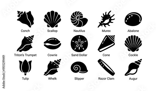 Silhouette collection of various seashells and marine life