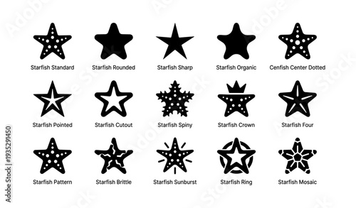 Variety of starfish silhouettes: patterns, shapes, and designs