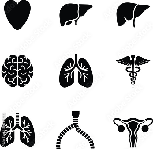 Human organ medical icon set including heart liver brain lungs trachea uterus and caduceus black silhouette healthcare anatomy symbols isolated for medicine design