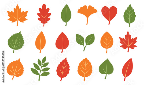 Hand drawn autumn leaves set featuring different shapes and colors for seasonal designs
