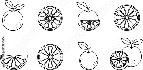 Fresh orange fruit collection featuring whole oranges with green leaves, sliced citrus halves, and juicy wedges in flat vector and line art styles.
