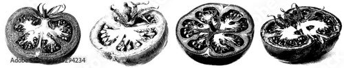 A Vintage Botanical Illustration of a Sliced Tomato