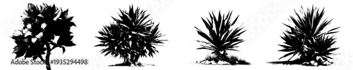Elegant Black and White Botanical Illustration of Yucca Plant