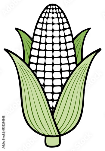 Stylized Corn Cob with Green Husks and Detailed Kernels