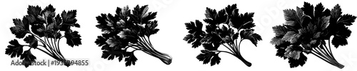 Elegant Black Silhouette of Celery Bunch