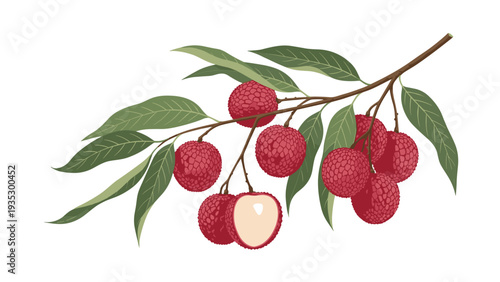 Branch of fresh lychee fruits with green leaves, showcasing the textured red skin and white succulent interior of a halved fruit.
