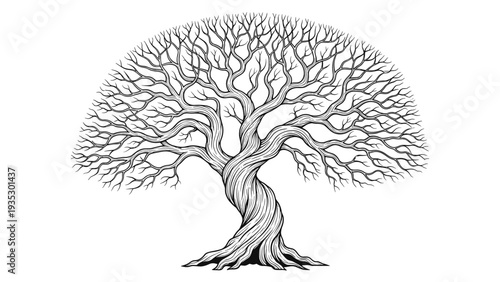 Magnificent old tree with a thick gnarled trunk and a wide canopy of bare branches, illustrated in a detailed black and white etching style.