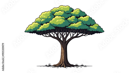 Majestic tree with a wide spreading green canopy and a sturdy trunk, depicted in a vibrant detailed illustration style on a white background.