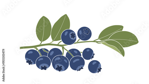 Cluster of ripe blueberries on a thin branch with green leaves is shown in a simple vector style for food, health, or botanical illustrations.