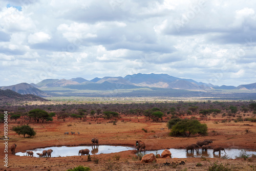 A herd of elephants is having a drink at the watering hole overlooking the Chyulu Hills in Tsavo West National Park, Kenya.