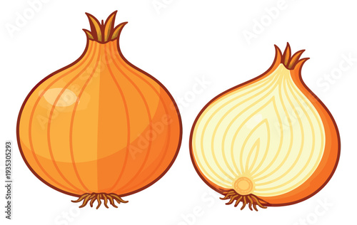 Stylized illustration onion set featuring a whole and a halved bulb for food preparation