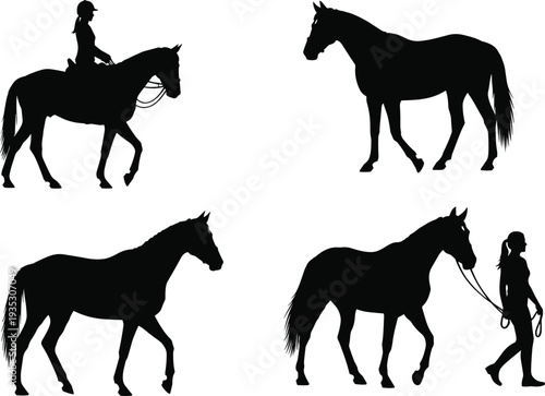 Black silhouettes of horses and riders on white background horse riding horse silhouette
