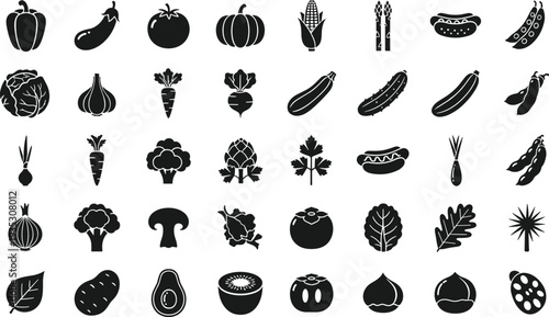 Comprehensive Vector Set of Black Leaf Silhouettes Featuring Maple Oak Rowan and Birch Leaves for Autumn Fall and Botanical Nature Design Projects