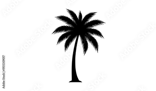 Tropical Palm Tree Black Silhouette Vector Illustration Isolated on White Background