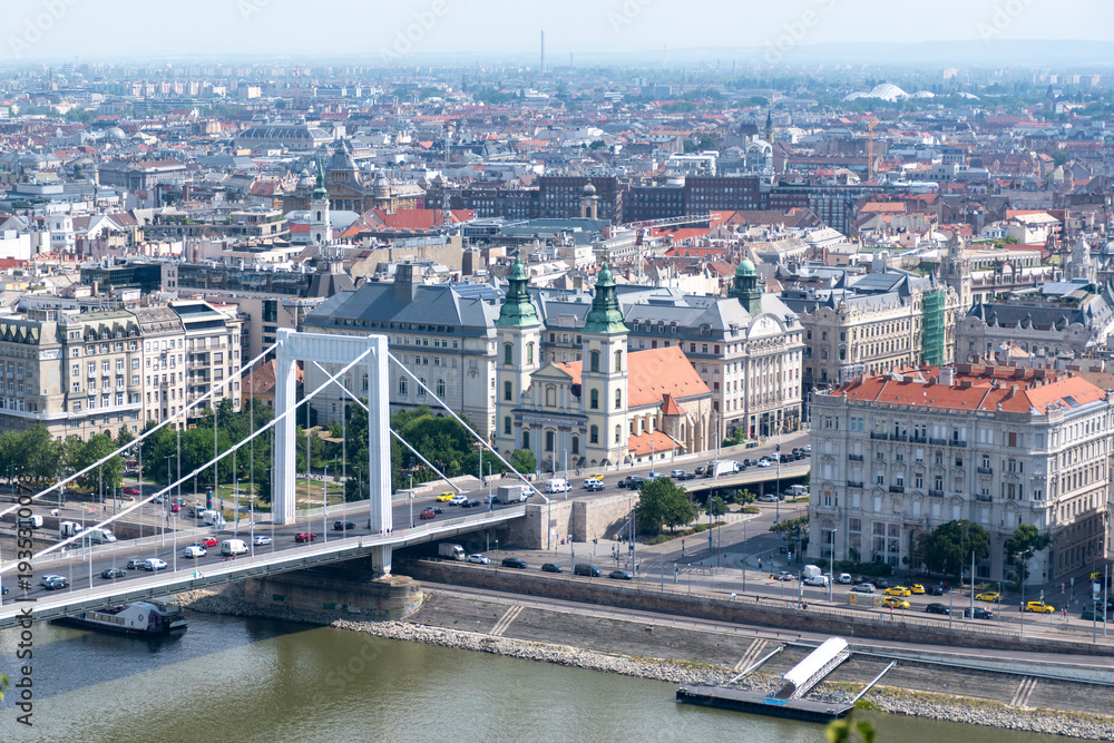 Obraz premium Elizabeth Bridge And Budapest Cityscape