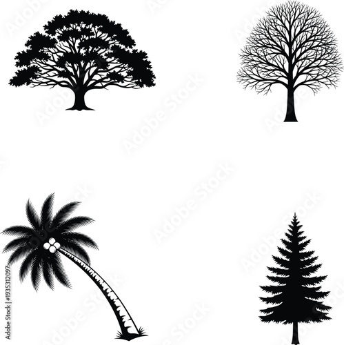 Set of four different tree silhouettes on white background