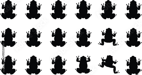 Black silhouettes of frogs in various poses on white background amphibians