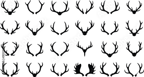 Black silhouette deer antler head antlers white background