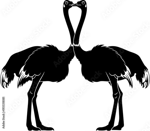 Black silhouette of two ostriches facing each other with intertwined necks on white background, wildlife nature, bird couple and symmetry