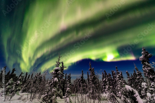 アラスカ　フェアバンクスのオーロラ