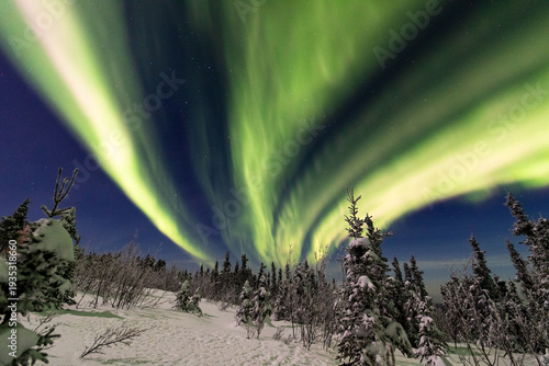 アラスカ　フェアバンクスのオーロラ