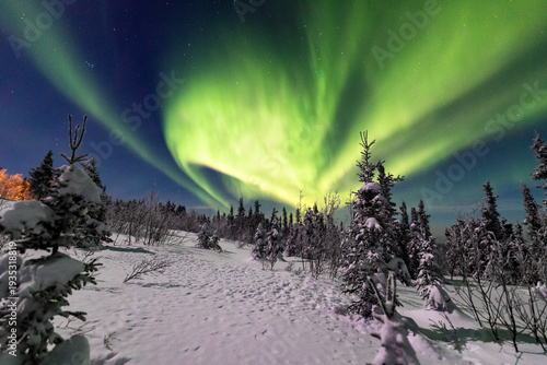 アラスカ　フェアバンクスのオーロラ