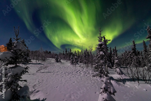 アラスカ　フェアバンクスのオーロラ