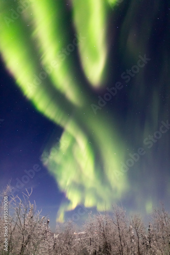 アラスカ　フェアバンクスのオーロラ