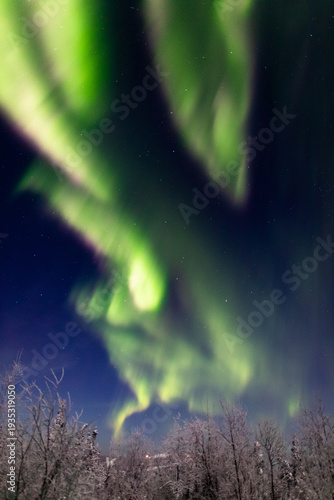 アラスカ　フェアバンクスのオーロラ