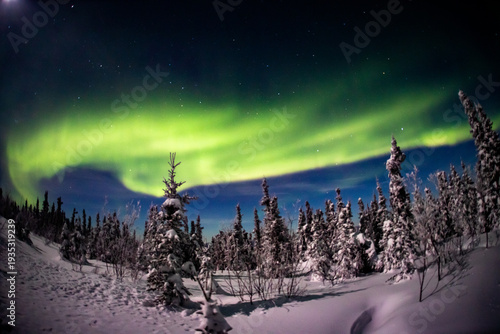 アラスカ　フェアバンクスのオーロラ