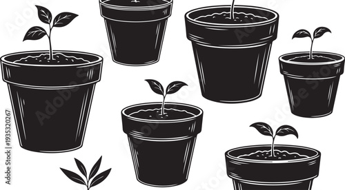 Black and white illustration of potted seedlings growing slowly