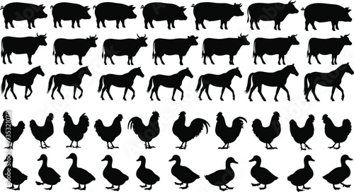 Farm animals silhouette collection including pigs cows horses chickens roosters and ducks, livestock vector set for agriculture farming design isolated on white background