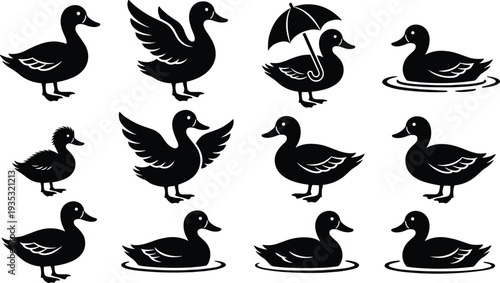 Set of black duck silhouettes including swimming mallard icons, cute ducklings, bird with umbrella, and flying waterfowl illustrations isolated on a white background.